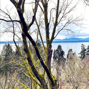 Meet your Posher, Madeline